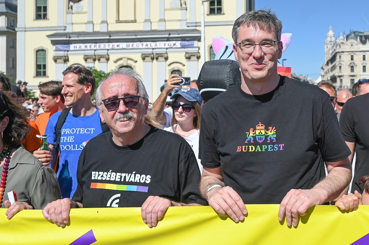 Szentkirályi Alexandra: Jár a kockacukor Karácsony Gergelynek