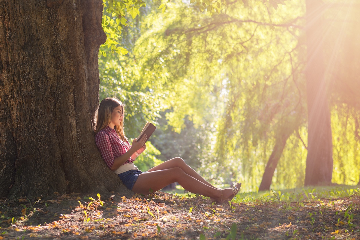 Az állami erdők mindenki számára nyitottak