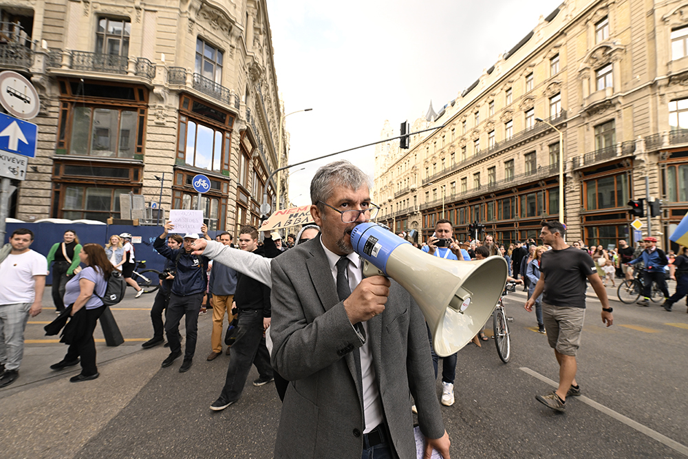 Hadházy Ákos fadíszei és zebrái