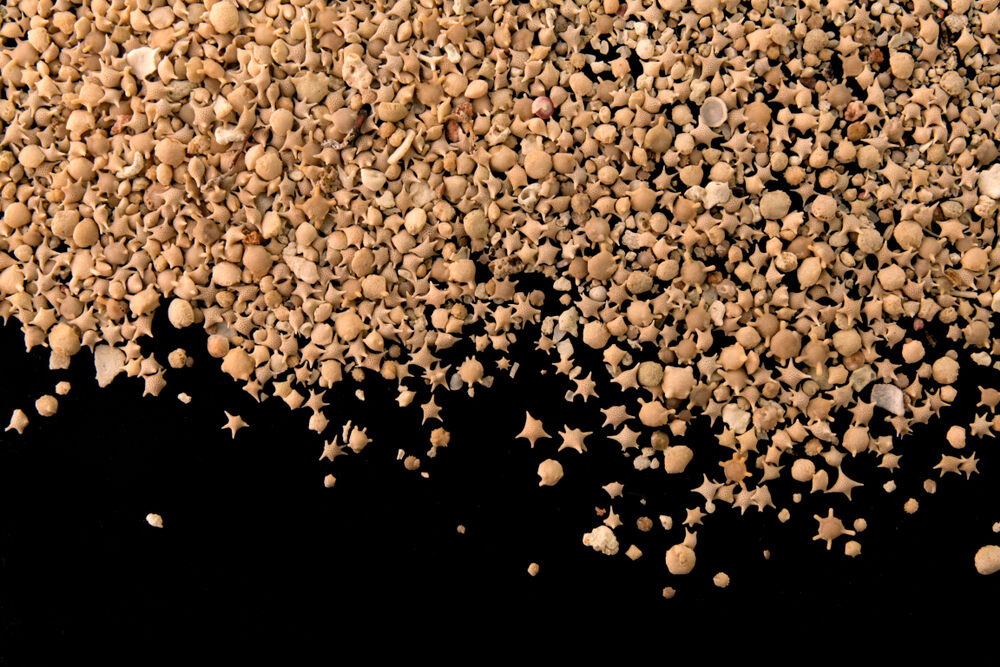 Egy tengerpart, ahol csillag alakú a homok + Videó!