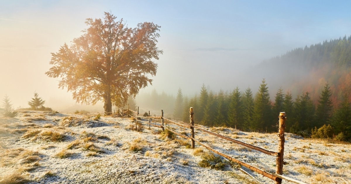 Enyhe időjárással indul a tél