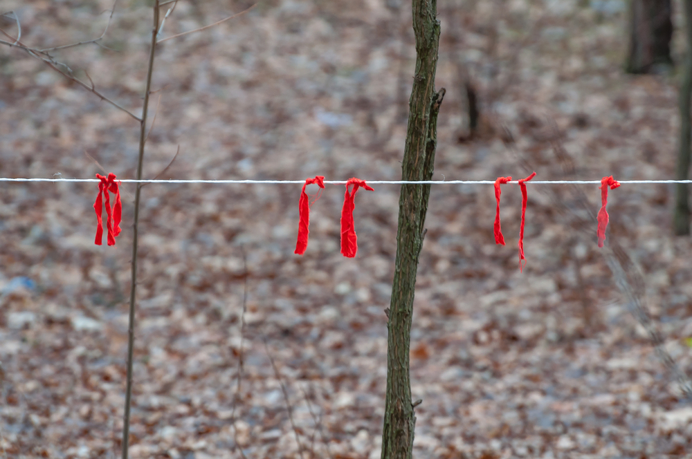 Így találták meg Kaszás Nikolettet – döbbenetes tárgyak a holttest mellett
