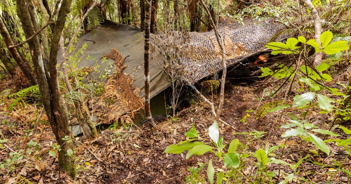 Miben hibáztak a hatóságok? Éveken át egy erdőben bújkált gyermekeivel az édesapa
