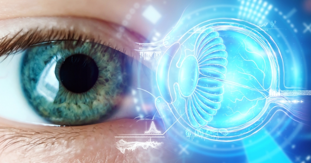 Közelebb kerültek az emberi látás megértéséhez magyar kutatók