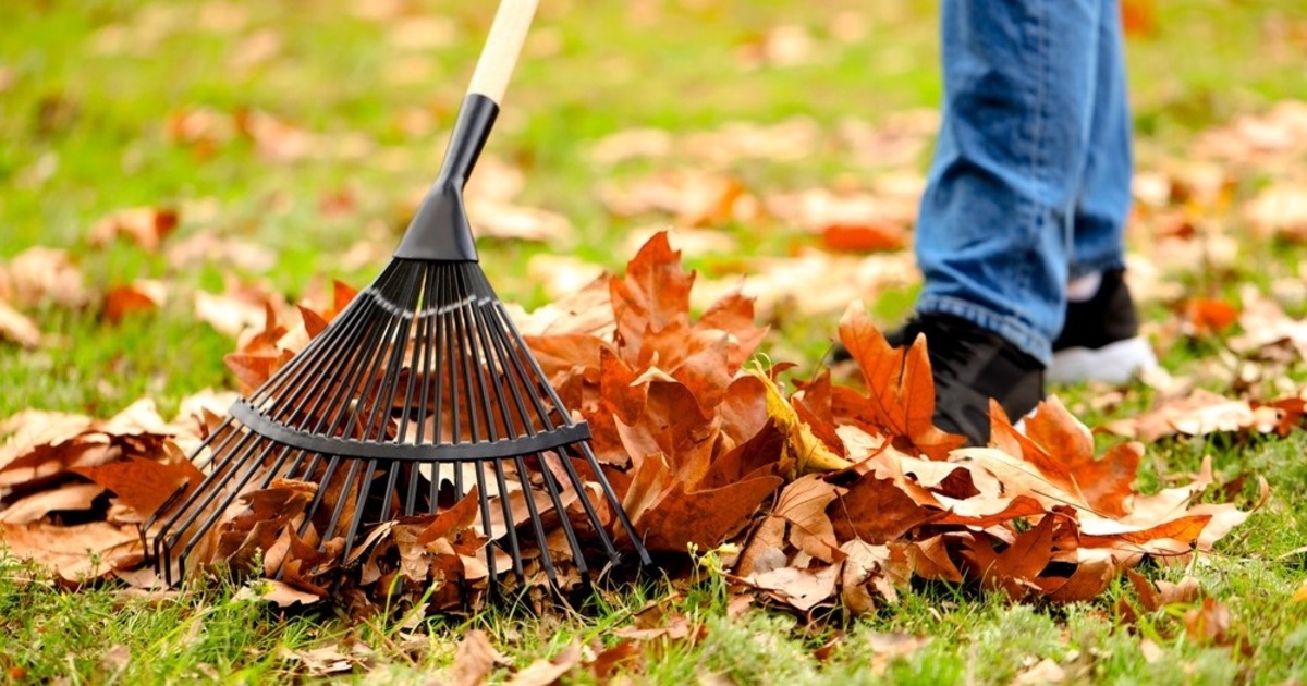 Ártunk vagy segítünk a kertnek, ha ősszel összegereblyézzük a leveleket?