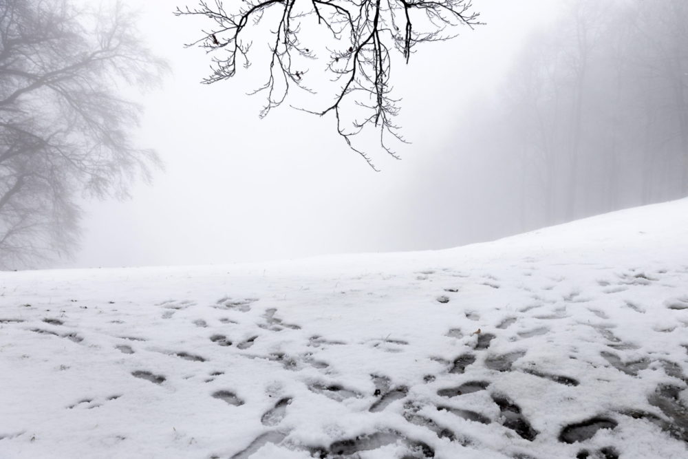Havazás Dobogókőn
