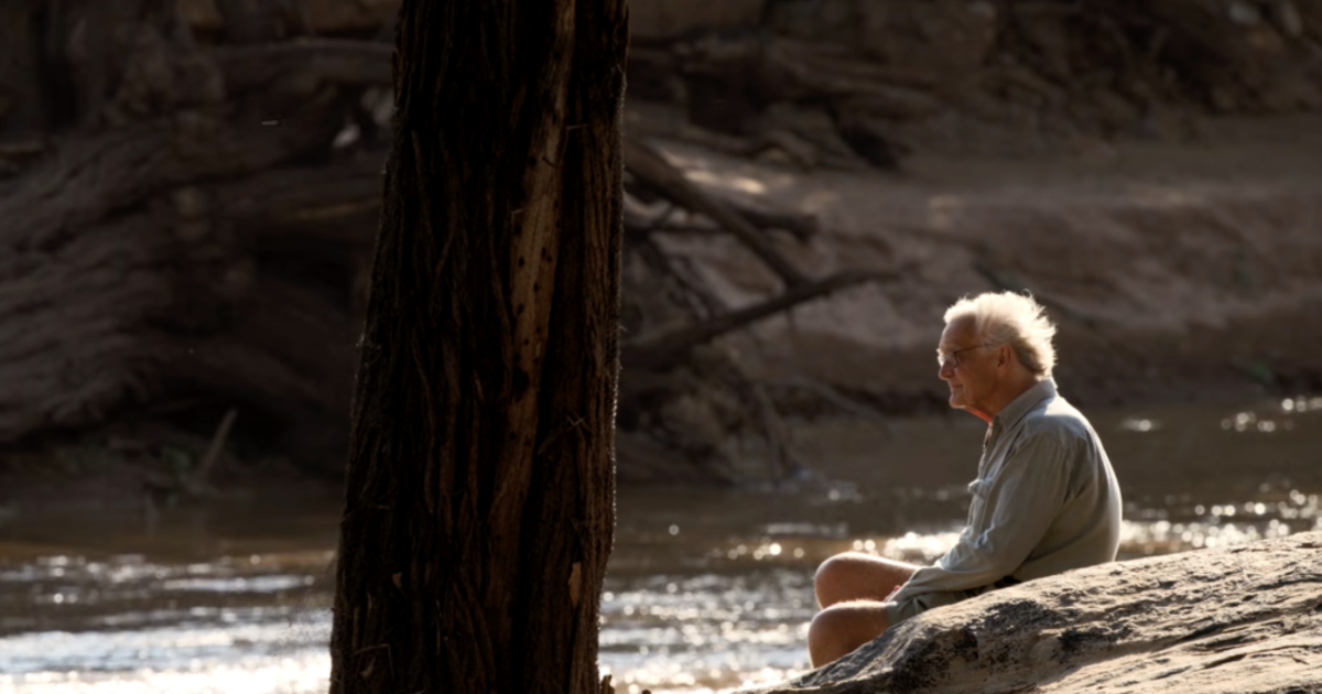 Elhunyt az elefántok védelmezője