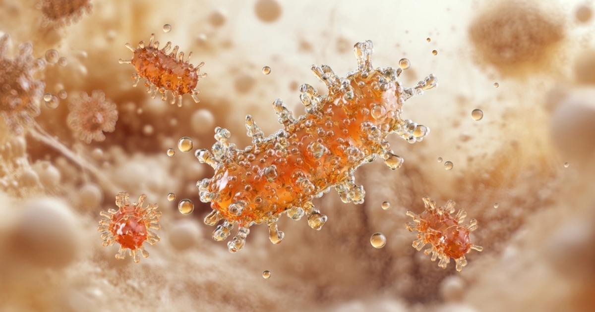 Tragédia: vesetranszplantáció után veszettség miatt halt meg egy férfi