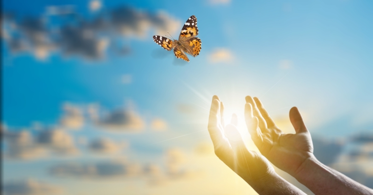 Elengedni nem gyengeség, hanem erő