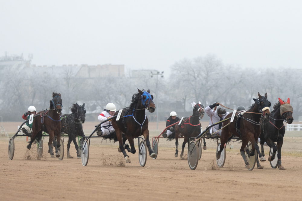 Ismét Ügetőszilveszter a Kincsem Parkban