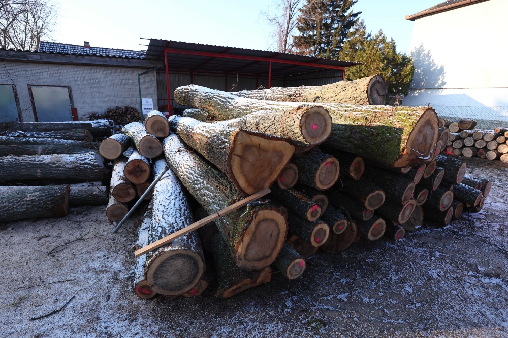 Mintegy kétszázezer családnak segít télen a szociális tüzelőanyag program