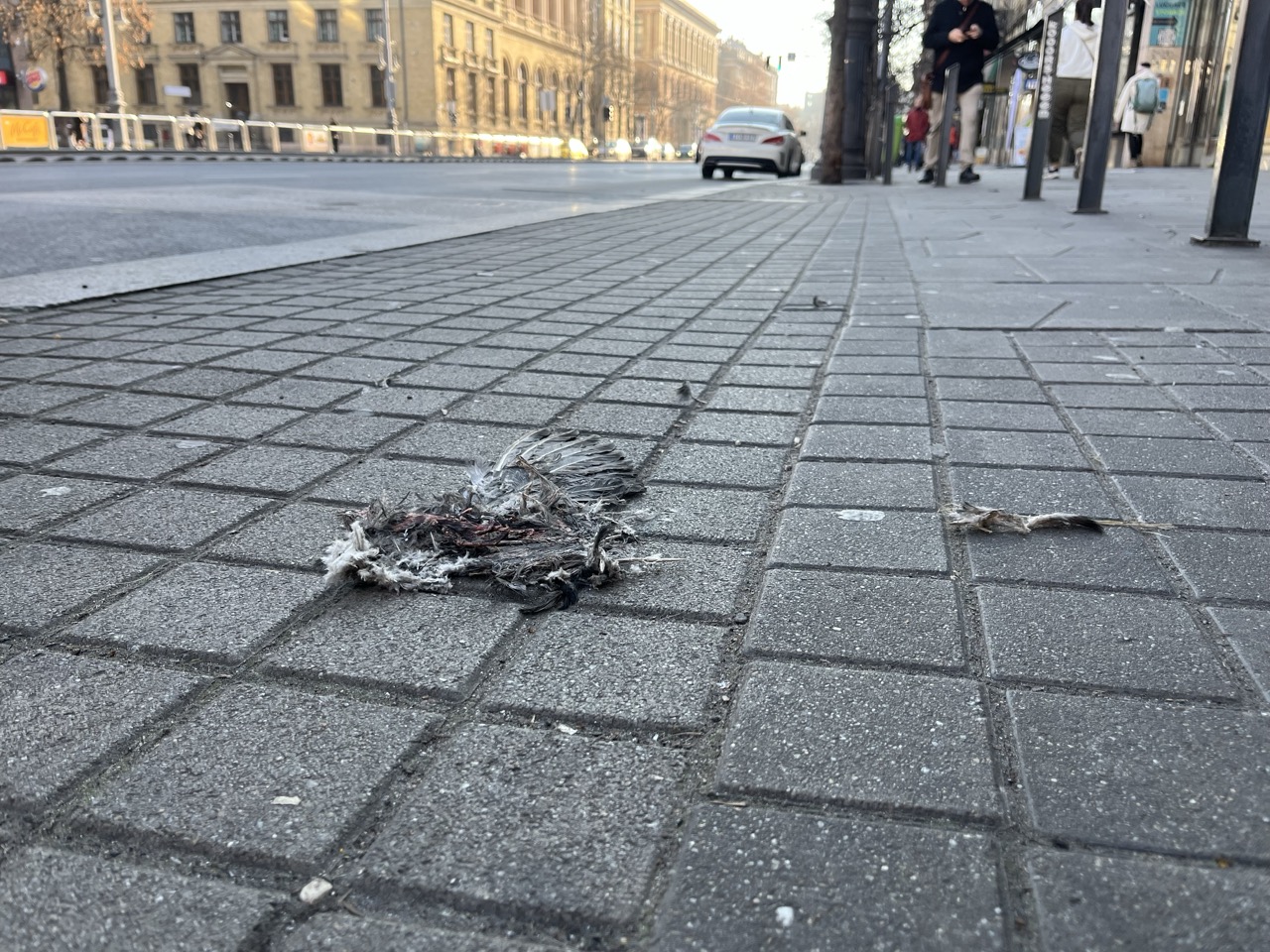 Lesújtó látvány fogadja a járókelőket Budapest belvárosában