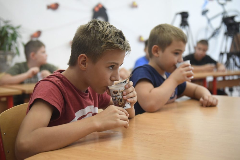 Az oktatási intézmények tanév közben is becsatlakozhatnak az iskolatej programba