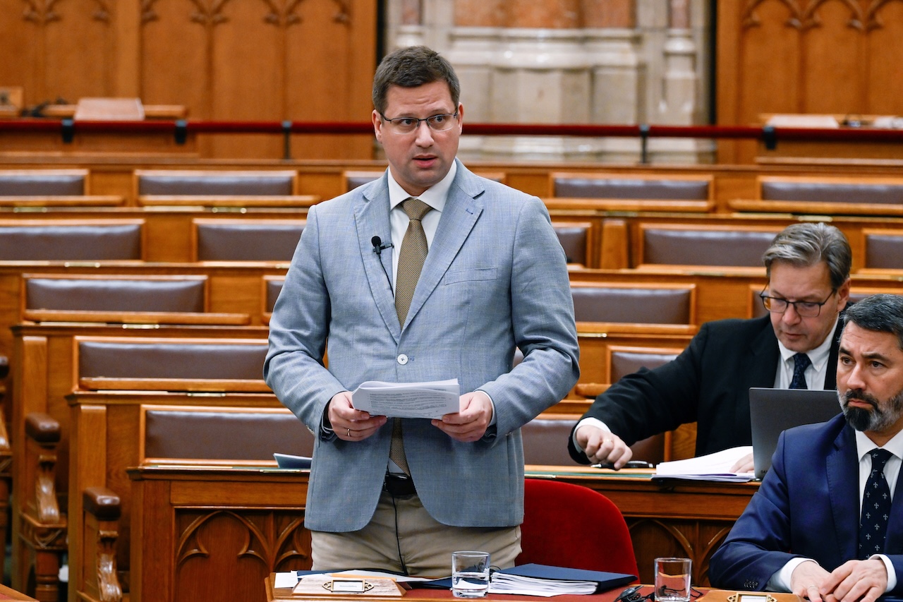 Gulyás Gergely: Önök szerint áldozat, aki nevelőanyja melleit levágja, szemét kiszúrja
