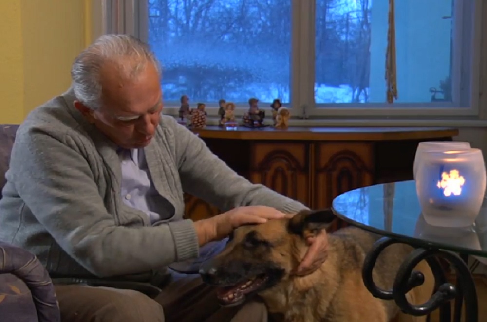 Újra hívható a négylábú szeretetfutár (Videó!)