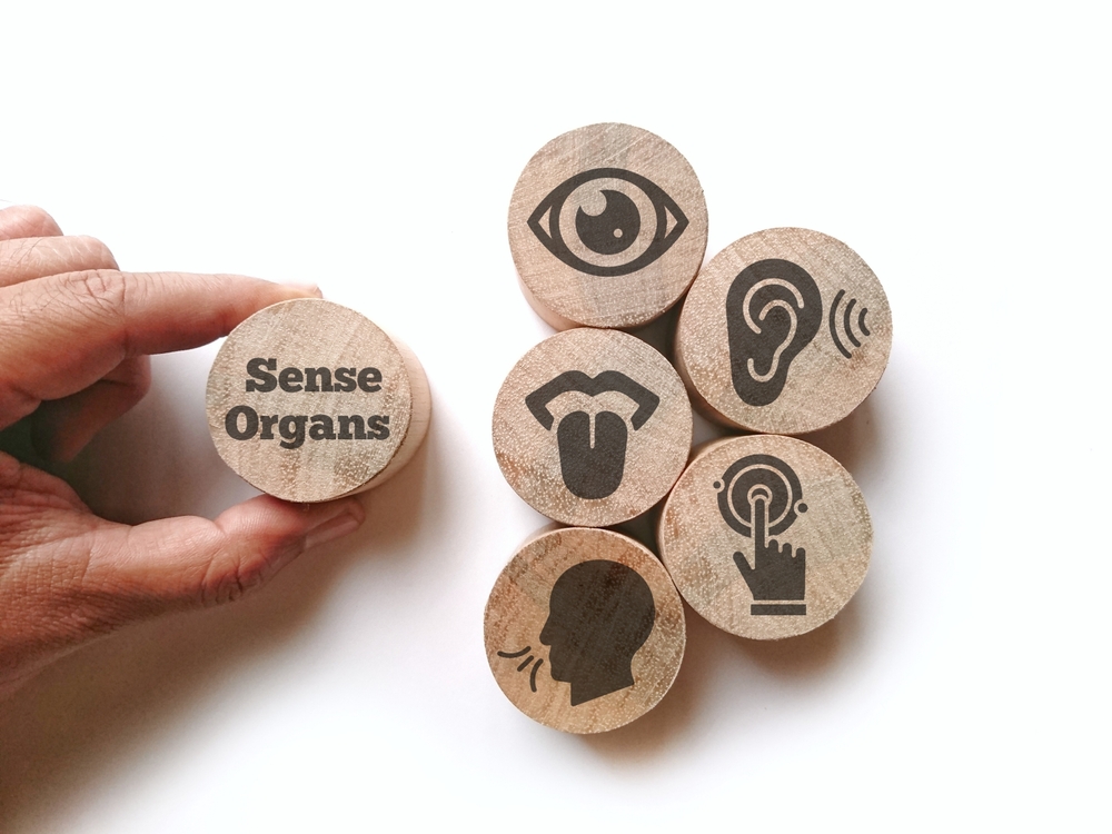 Meglepő felfedezés: nem öt érzékszervünk van!