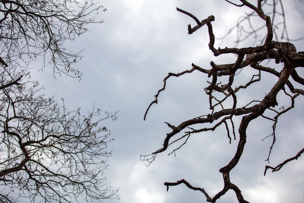 Felhő, felhő, felhő