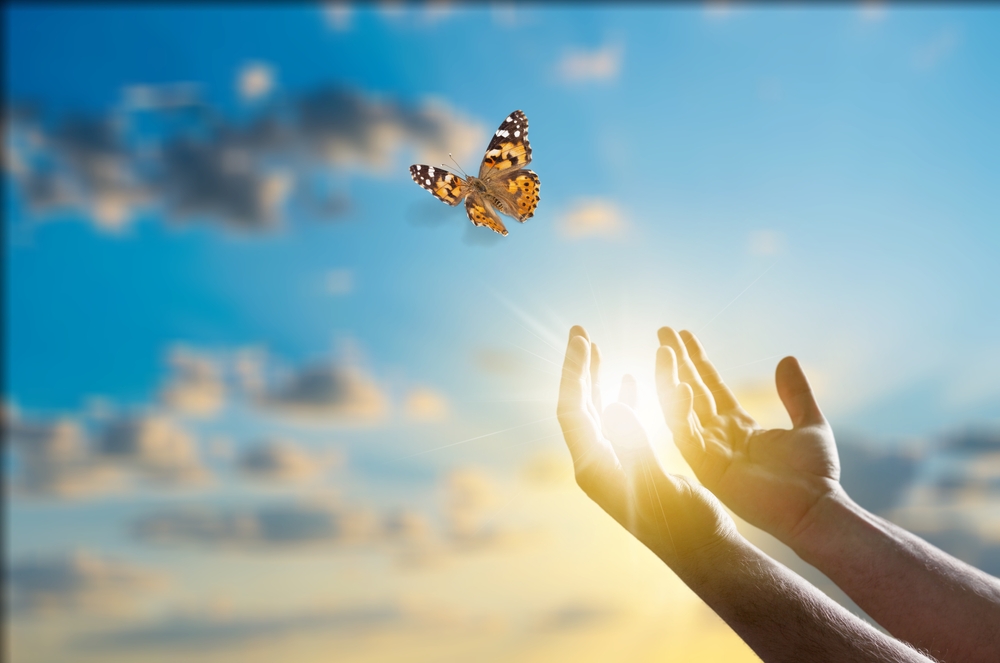 Elengedni nem gyengeség, hanem erő