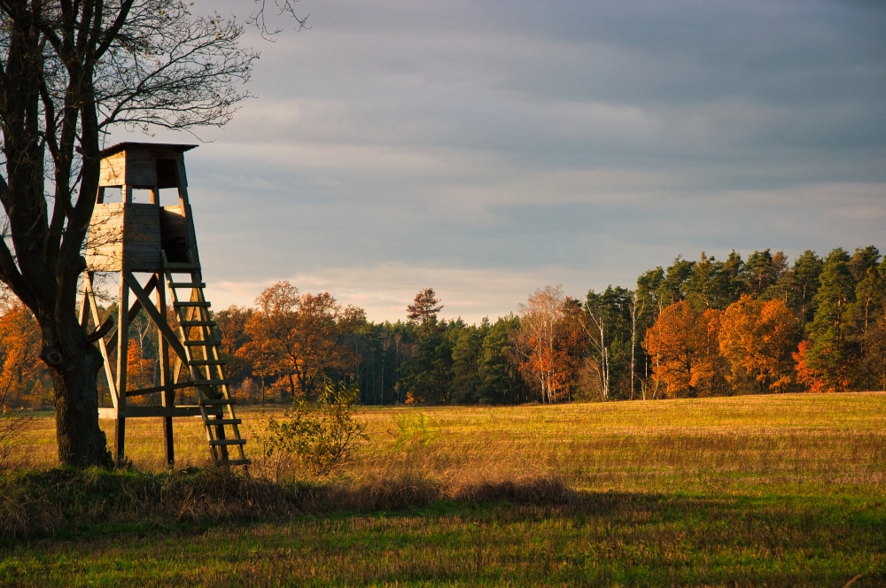Vádat emeltek egy vendégvadász ellen, aki rálőtt egy túrázóra a Bükkben