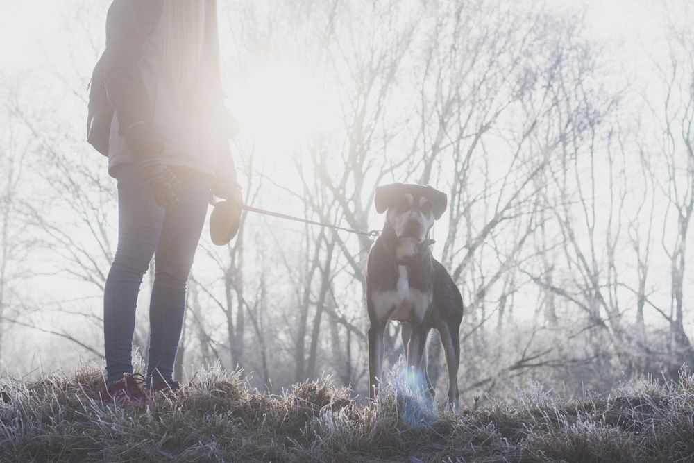Novembert idéző december