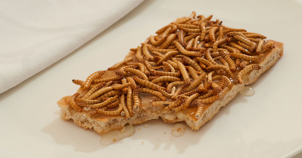 A bogárlobbi nyomul: rovarokat akarnak ránk erőltetni a „reform” nevében