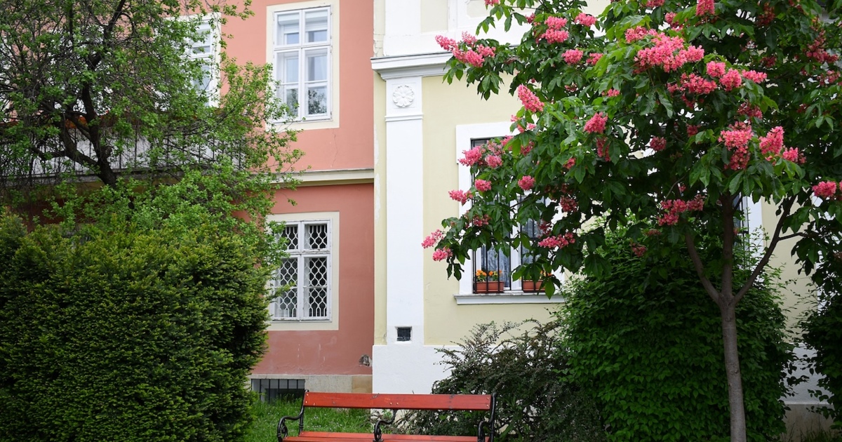 Megdicsérte a néni virágait, ő pedig ráhagyta a házát