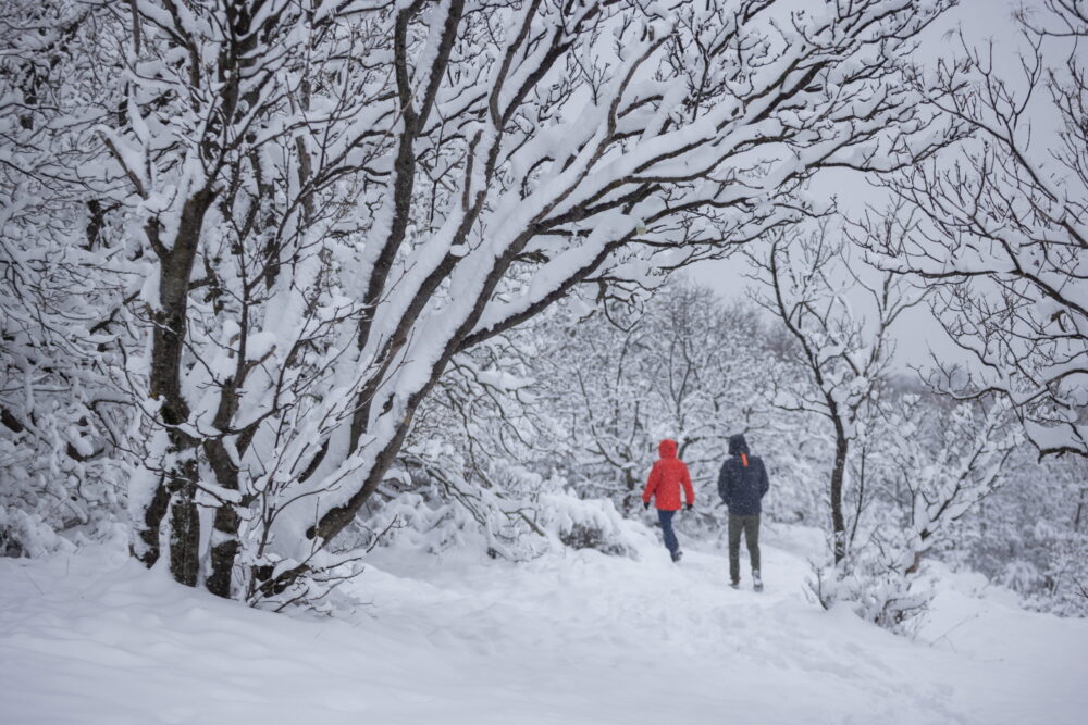 Az ország délkeleti kétharmadán éjfélig 5-15 centiméternyi hó hullhat