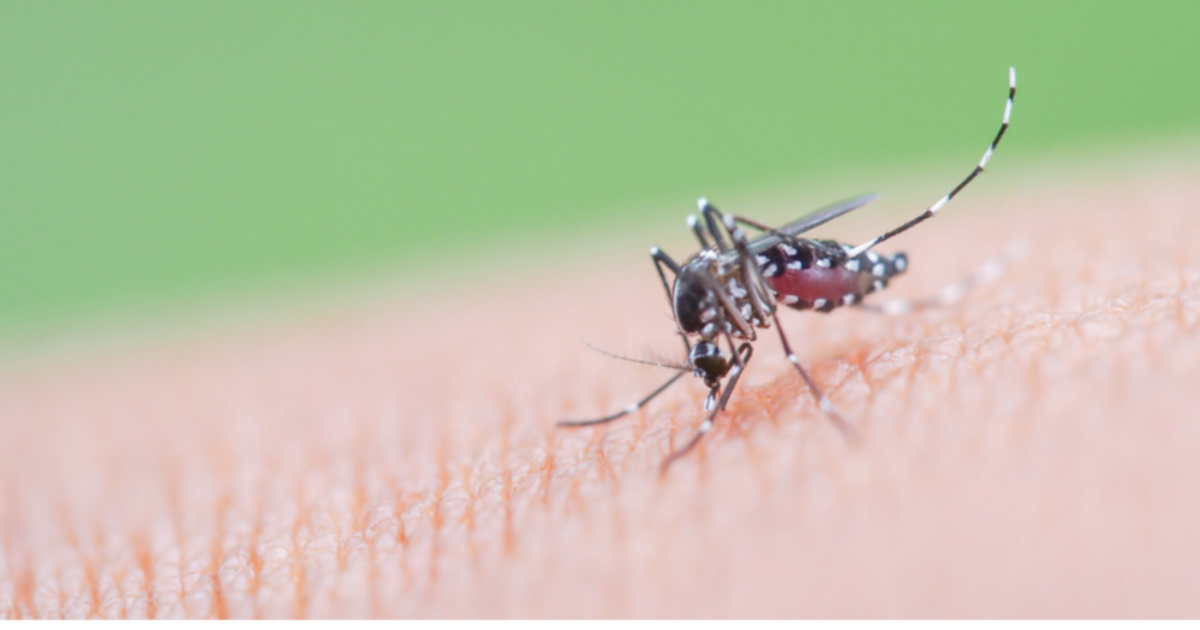 Magyarországon is megjelenhet a gyerekekre és idősekre halálos veszélyt jelentő kór