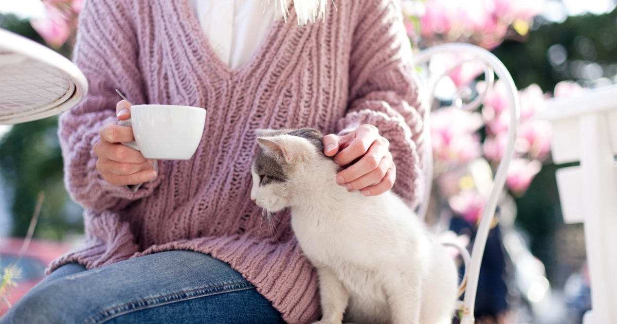Kávészünet négylábúak között