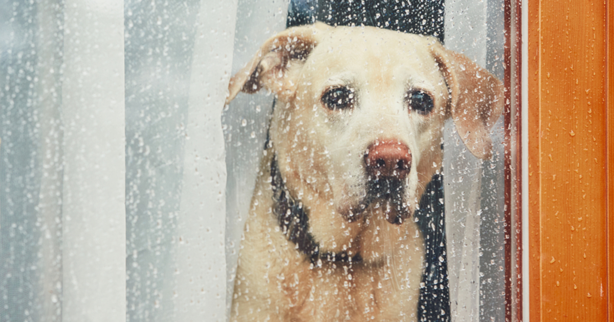 Eső, havas eső, majd napsütés