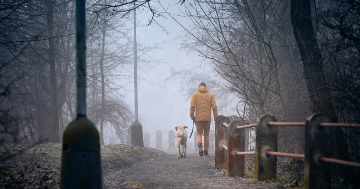 Fagyos hajnal, változékony nappal