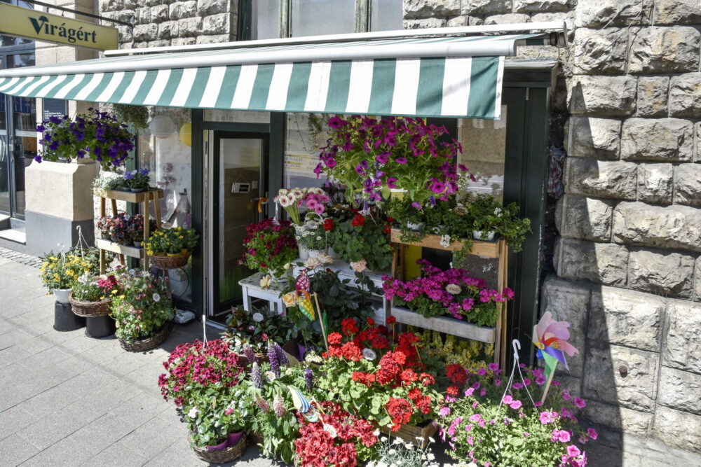 A NAV megkezdte Valentin-napi akcióját