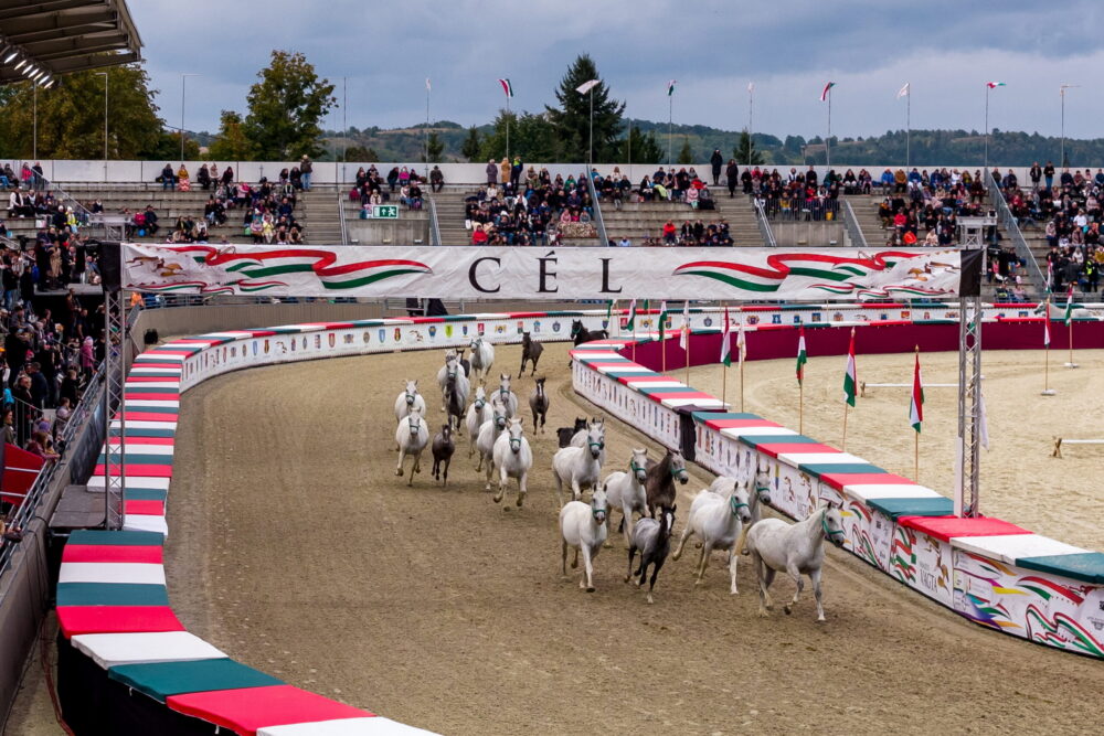 Október elején rendezik meg a Nemzeti Vágta döntőjét Szilvásváradon