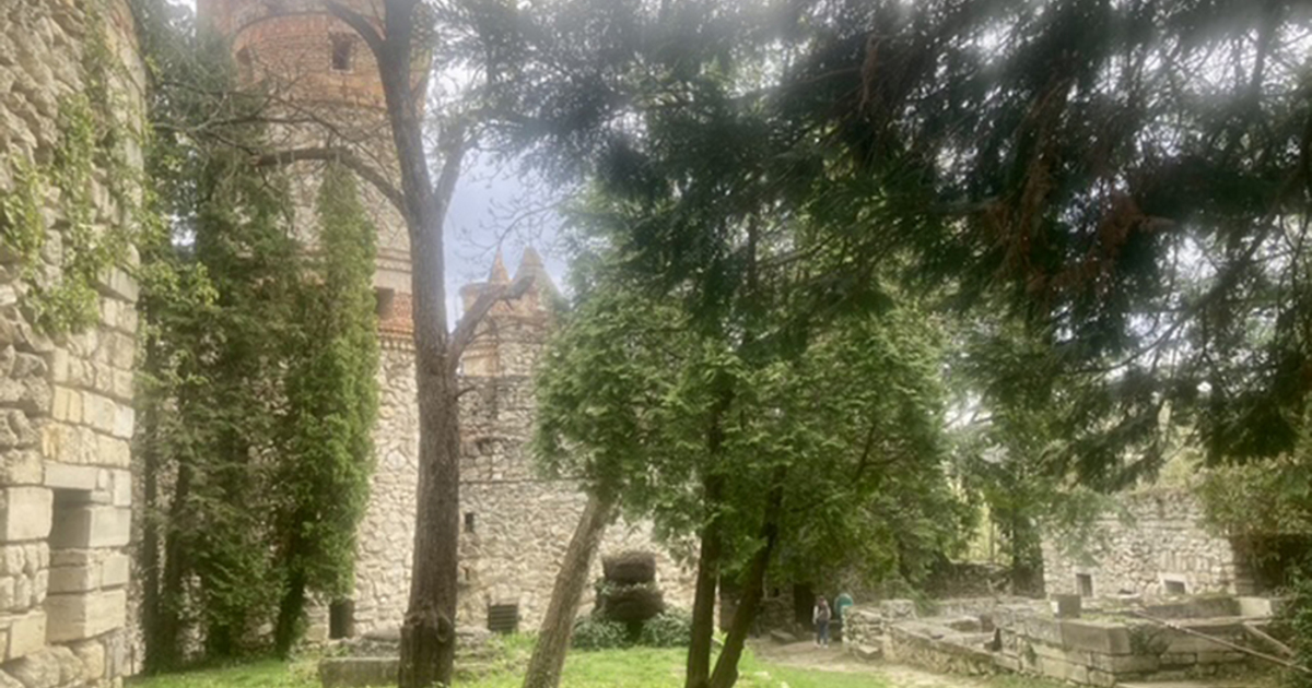 Akaratból várat is lehet építeni | Demokrata