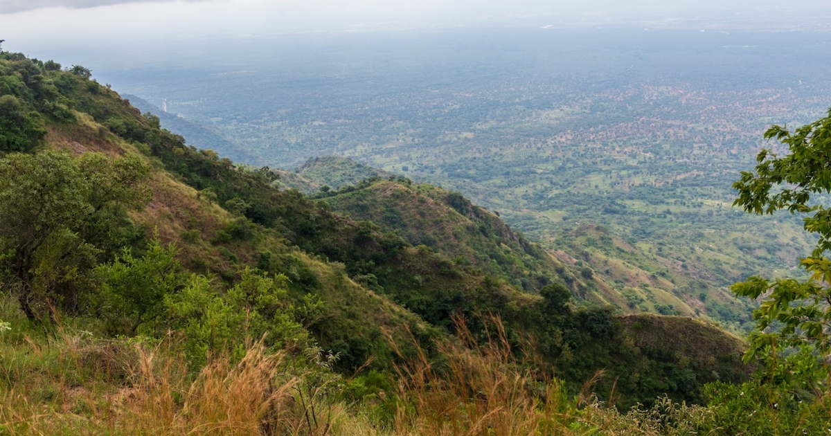 Még az erdők is veszélybe kerültek az iráni háború miatt