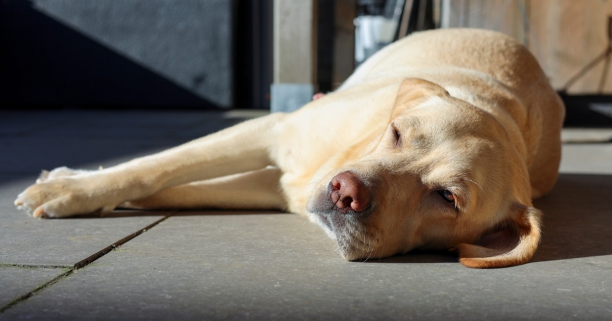 Tavaszias meleg, kevés felhő