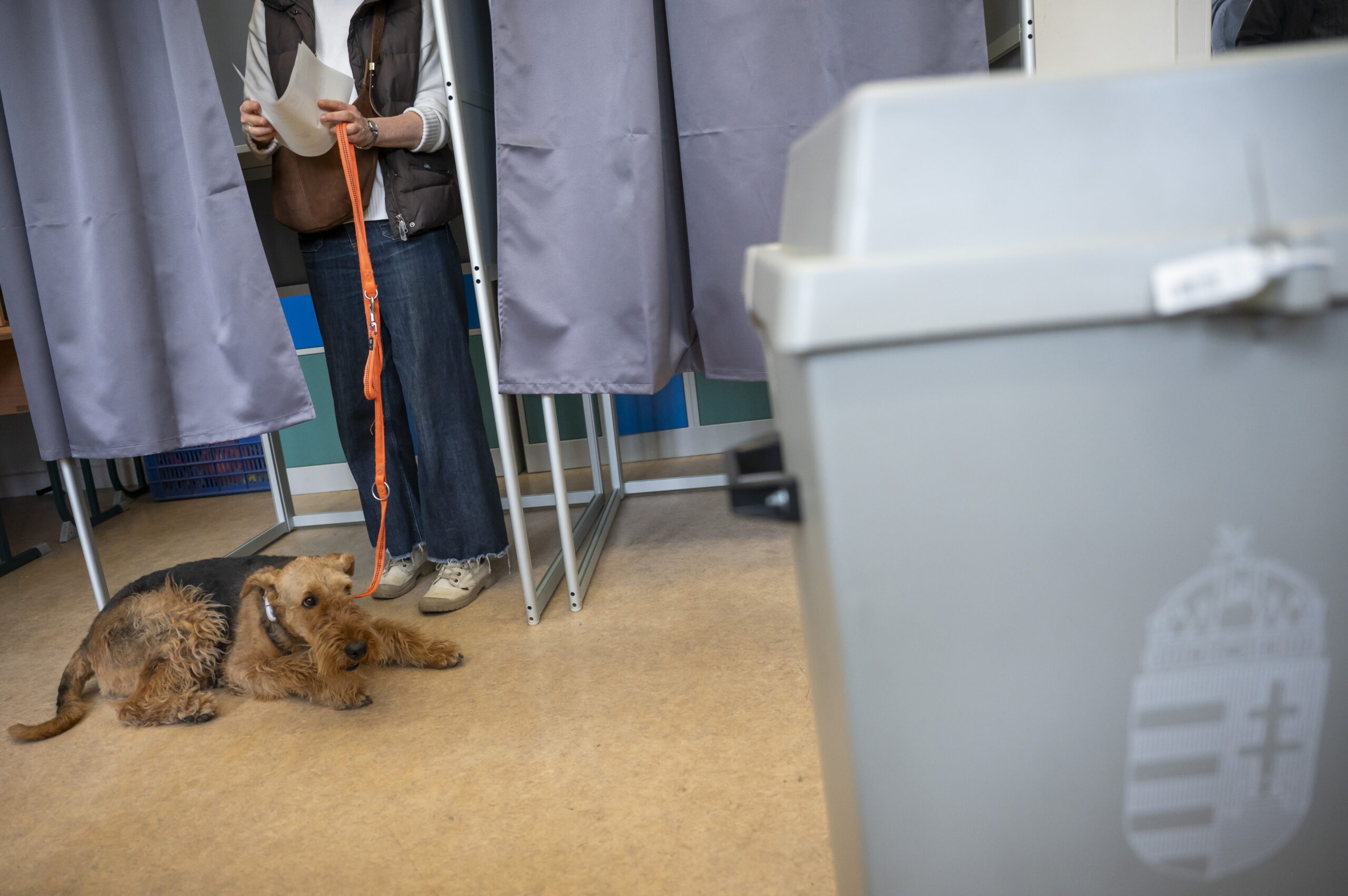 Az amerikai kutató szerint a Fidesznek kedvez a magas részvétel