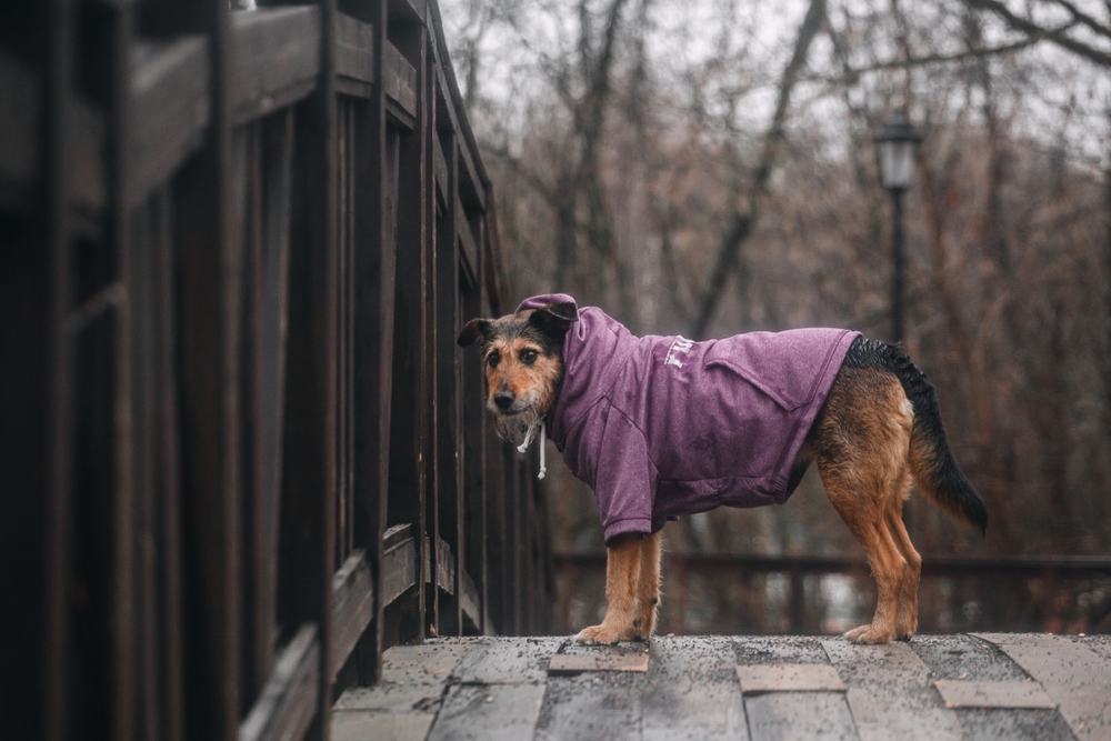 Jön a hidegfront, jönnek a záporok