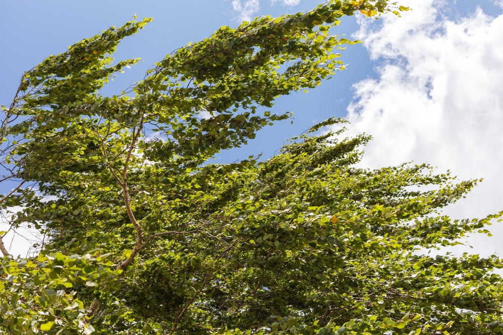 Záporok érkeznek észak felől, napokig hűvös idő várható