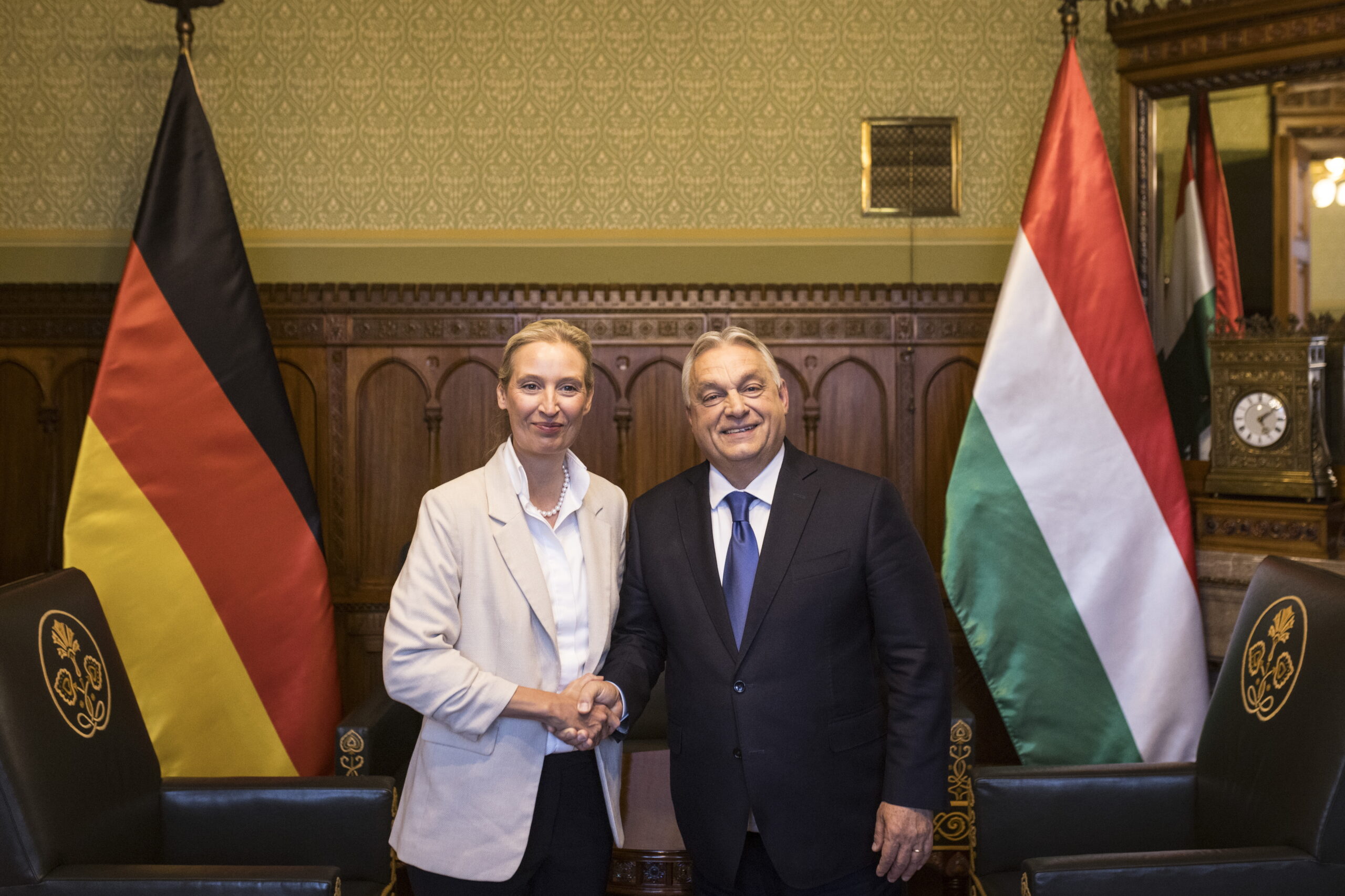 Nagyon nagyot megy az AfD