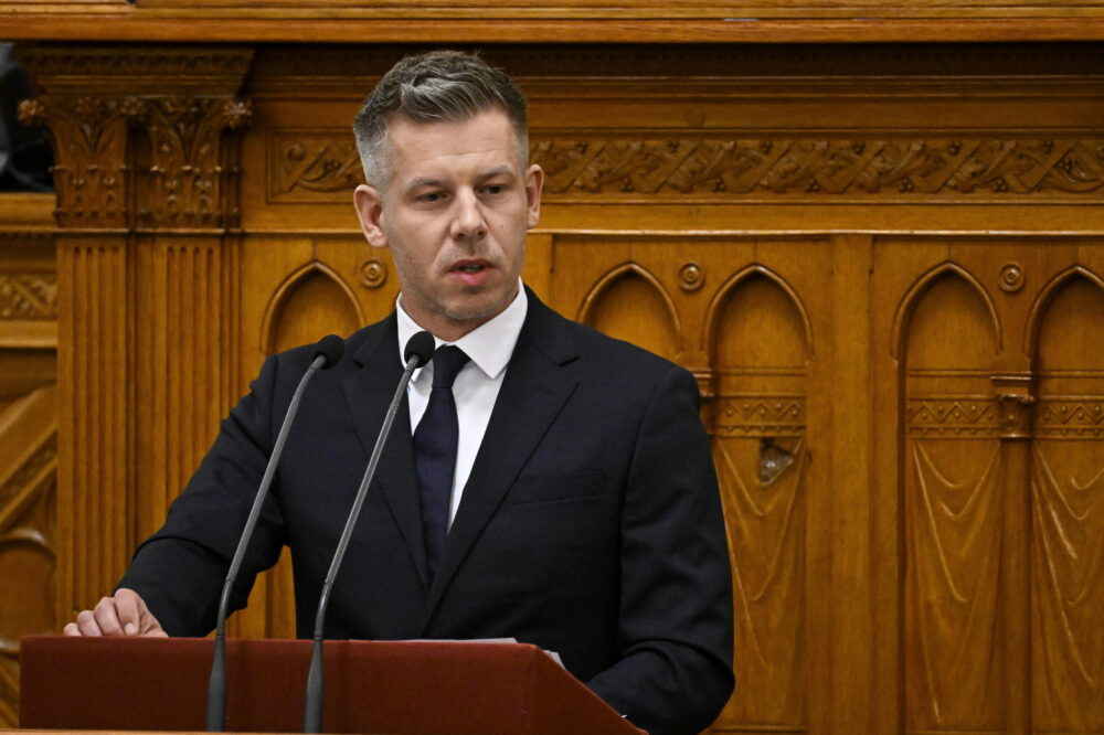 Magyar Péter: felülről nyitott lesz a gyermekvédelem költség