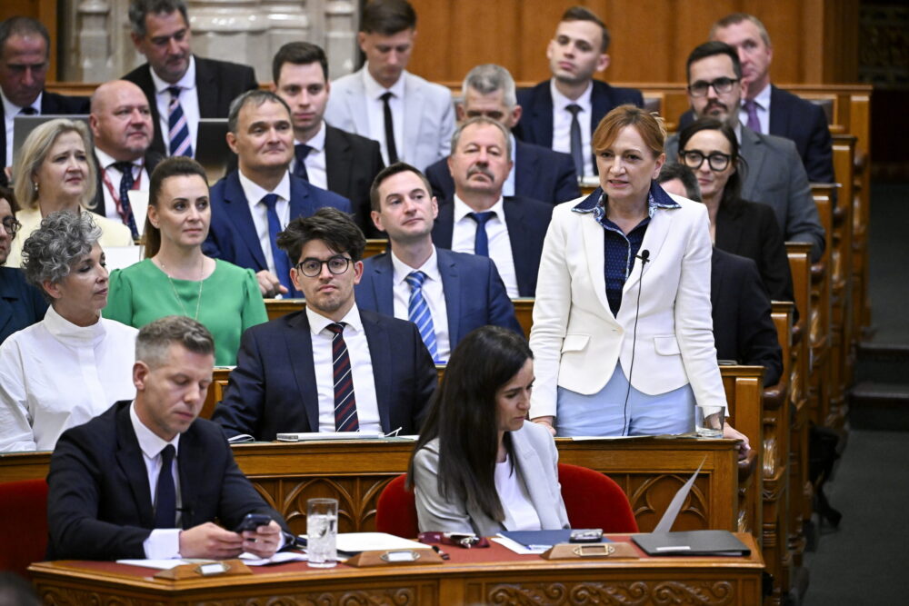 A frakcióvezetők, pártelnökök vagyonnyilatkozatába
